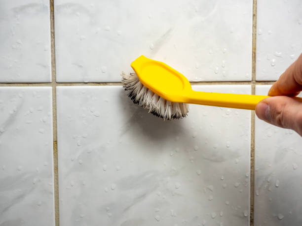 Best Certified Mold Removal  in Winnsboro Mills, SC