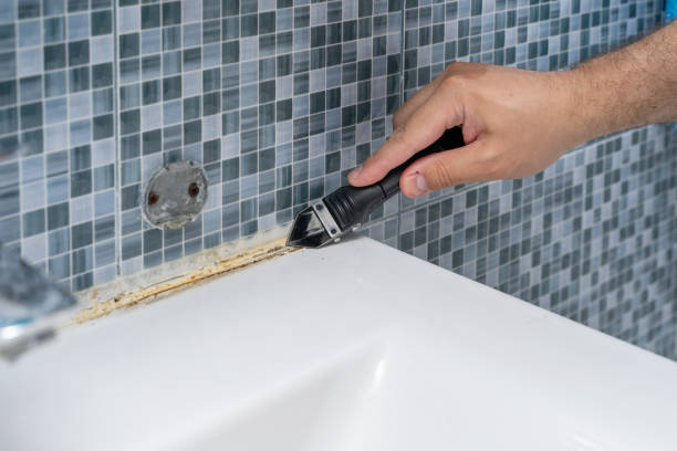 Office Mold Removal Services in Winnsboro Mills, SC