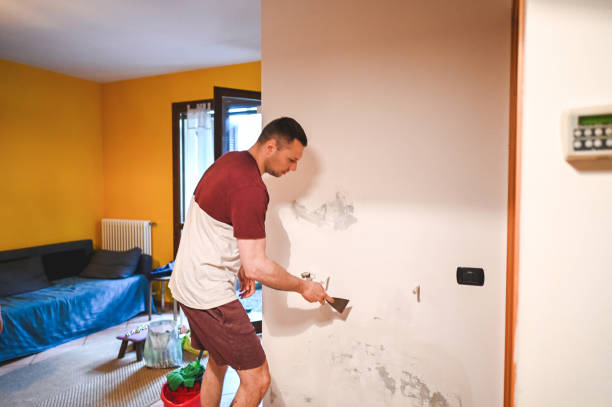 Best Home Mold Removal  in Winnsboro Mills, SC