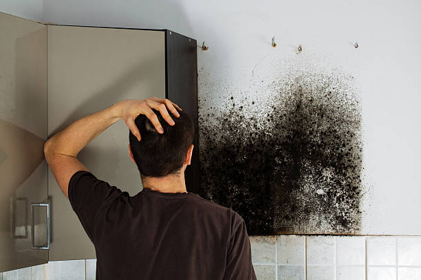 Best Office Mold Removal Services  in Winnsboro Mills, SC